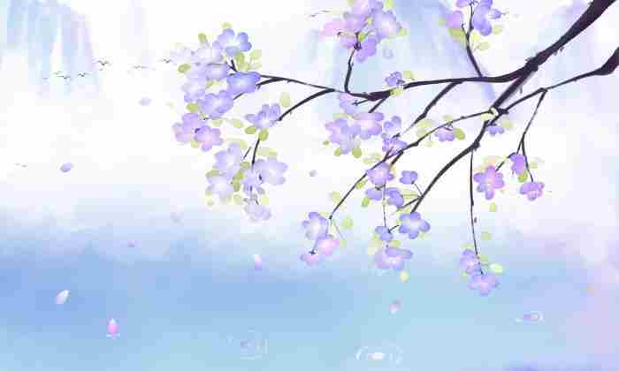 做一个自带光芒的洒脱女人|光芒|感情|婆婆