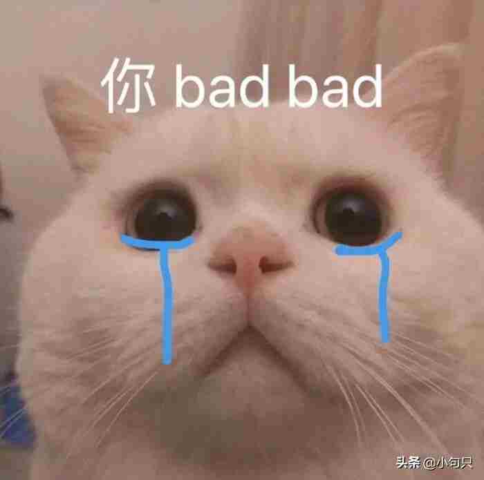 可爱沙雕的小句子（沙雕又可爱的小句子）