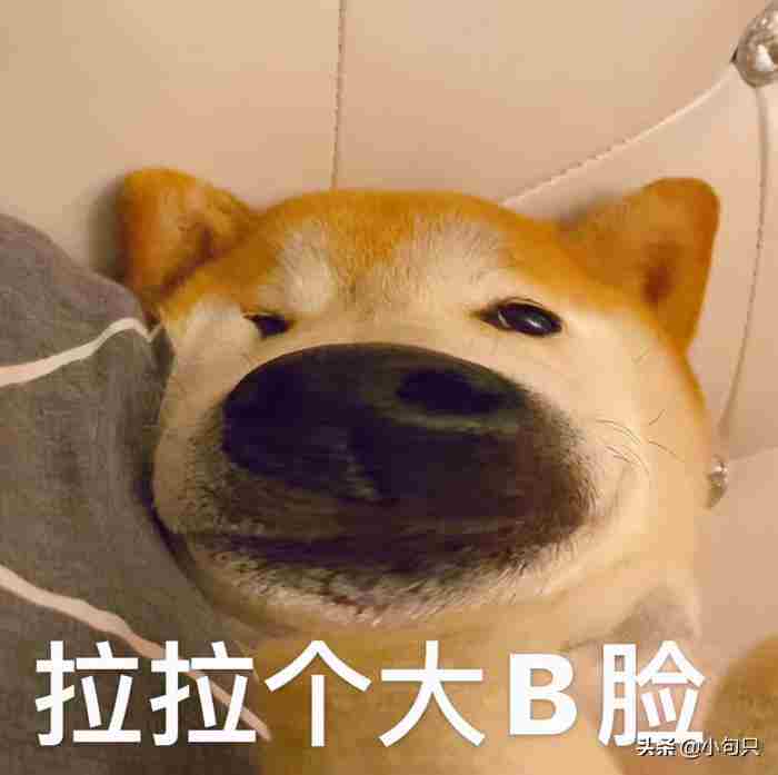 可爱沙雕的小句子（沙雕又可爱的小句子）