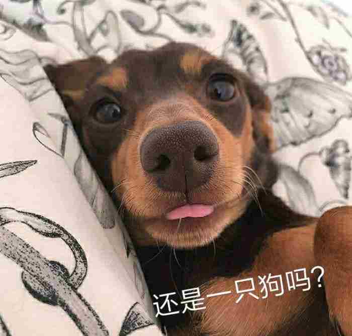 化学表白公式大全(化学公式代表我的心)