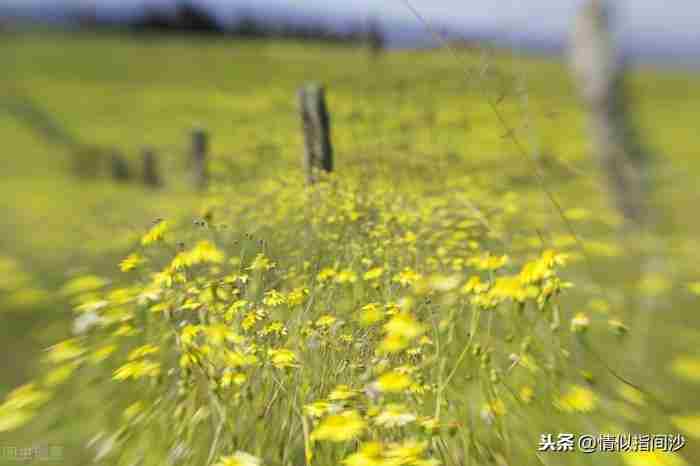 从情人退回到朋友的9条（从情人退回到朋友的9条经验总结）