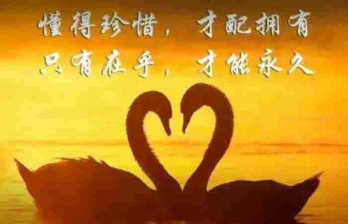 做个幸福的女人（教你做一个幸福的女人）
