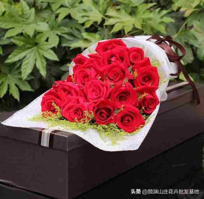 送喜欢的女孩多少朵玫瑰花（19朵玫瑰花的花语是什么）