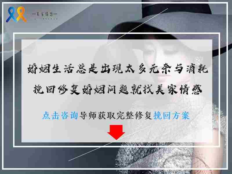 在线婚姻专家