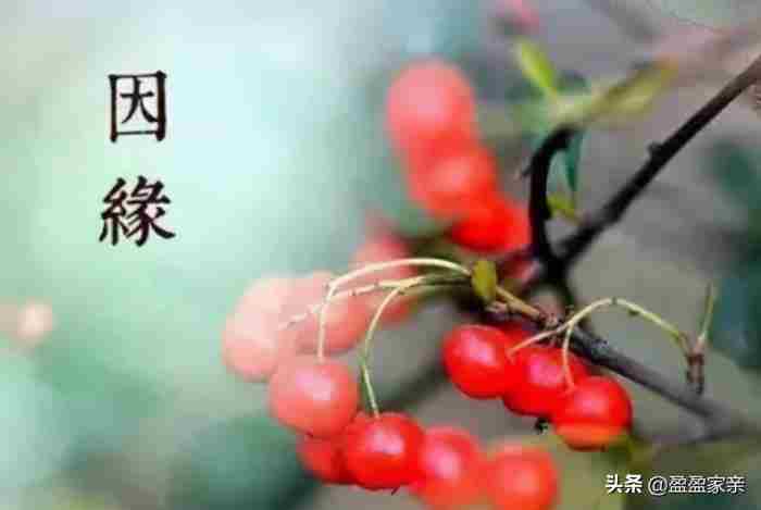 大龄剩女如何快速脱单