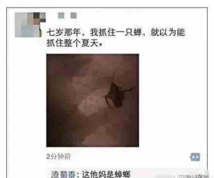 发朋友圈什么图片有趣(那些令人笑到窒息的朋友圈截图)