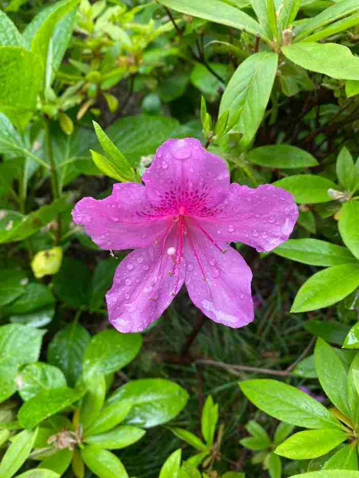 男友不想和我结婚要分手吗（男友说他不想结婚不想要孩子）