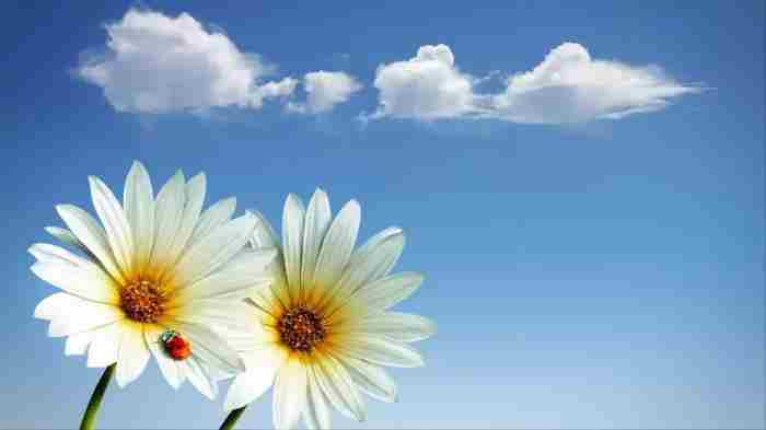 一个人爱你入骨