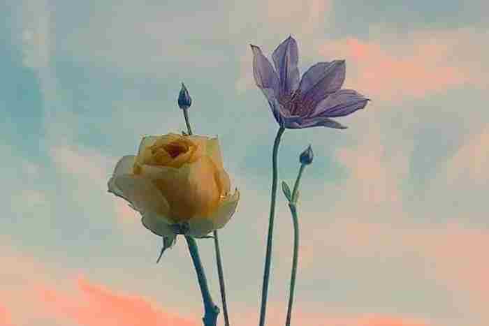 忘记一个人最好的方法（忘掉一个男人最好方法是什么）