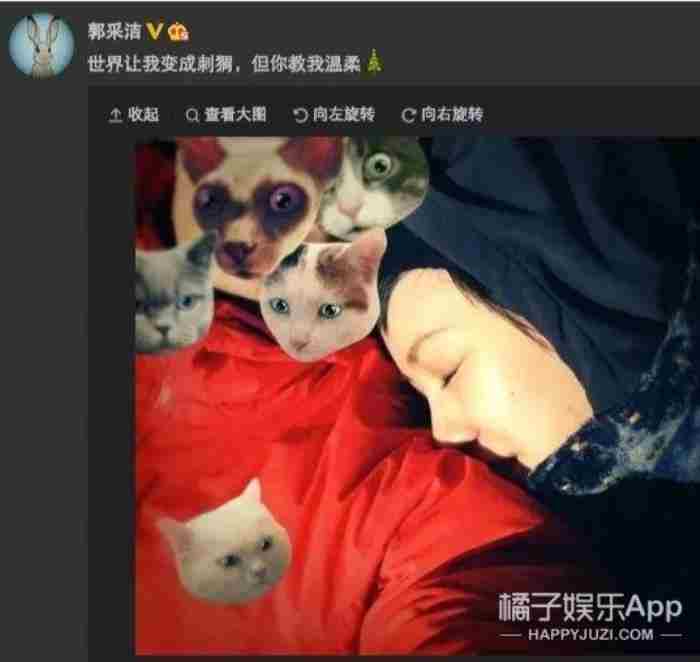 杨佑宁女朋友（38岁杨佑宁升级当爸）