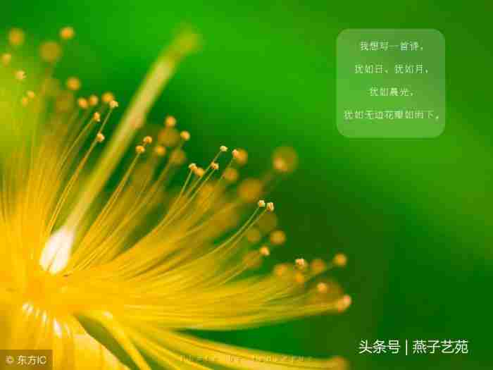 用沉默代替一切的说说（心痛了用沉默代替一切）