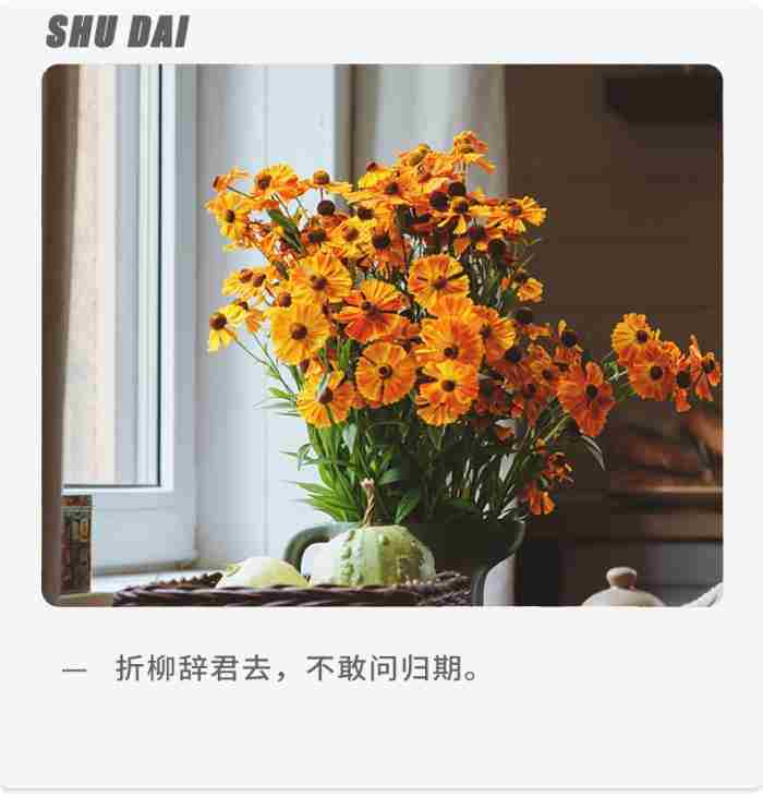 面对冷暴力的男人如何挽回（该如何挽回你的婚姻）