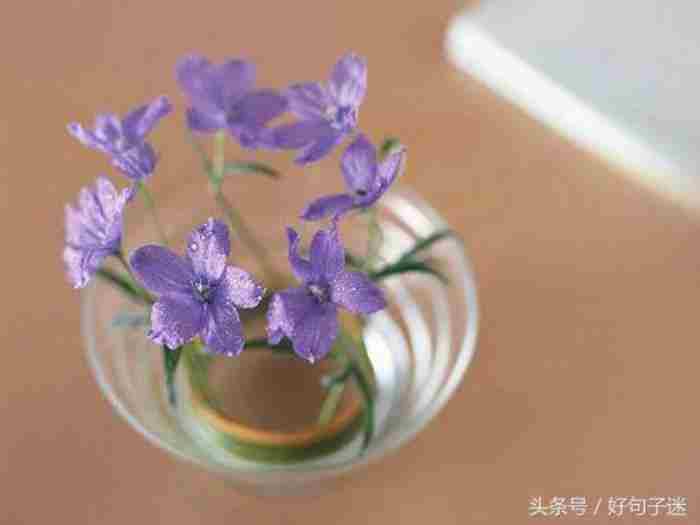 虚伪和心机重的人说说（让你看透虚伪的人心）