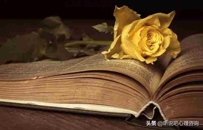 因为自己出轨如何挽回（如何挽回失去的婚姻）