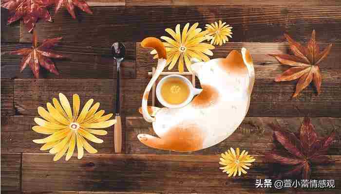快餐式婚姻是什么意思（这个时代流行的快餐式婚姻）