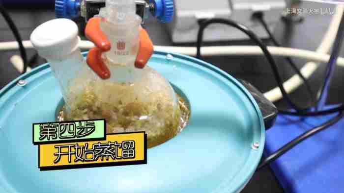 石楠花味道像什么（明知道石楠花的味道令人尴尬）