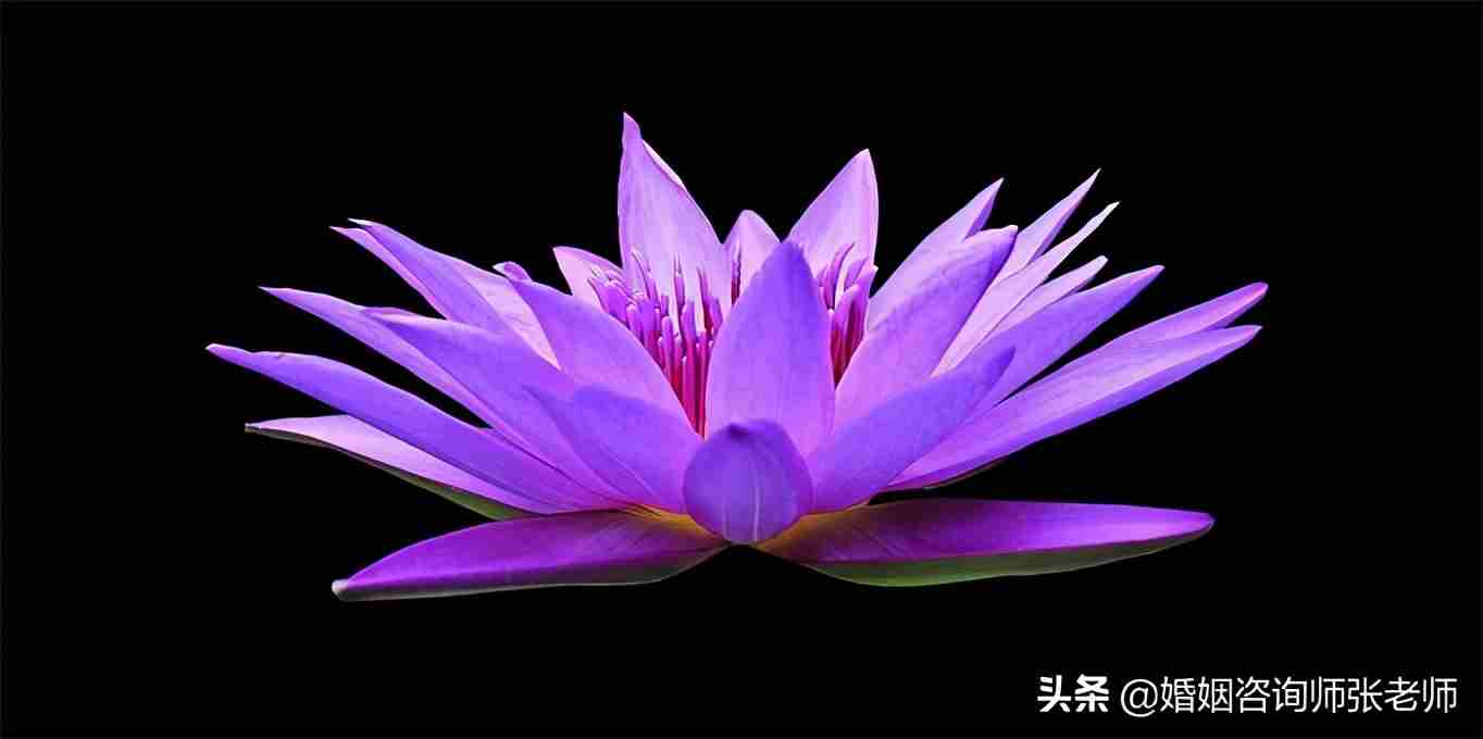 怎么挽救婚姻 怎么挽救破裂的婚姻