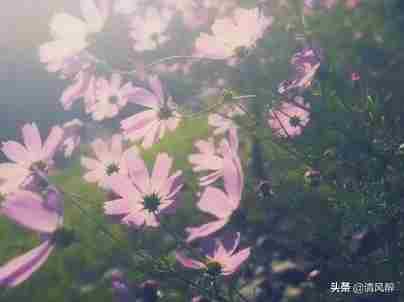 <a href=/showinfo-16-32242-0.html target=_blank class=infotextkey>女生表白男生的话</a> <a href=/showinfo-16-32242-0.html target=_blank class=infotextkey>女生表白男生的话霸气</a>
