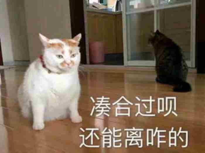 被女生说是妈宝男怎么办（婚姻或恋爱中遇到妈宝男）