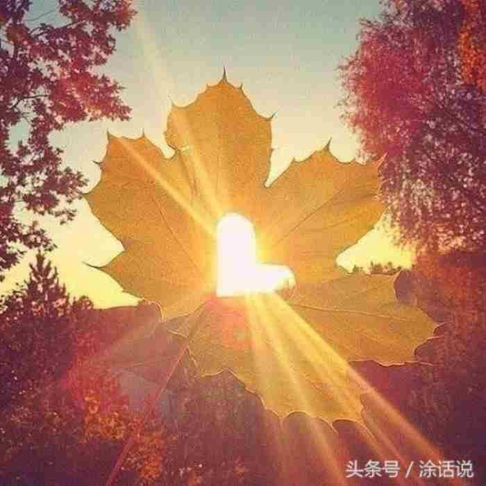 夫妻感情变淡的表现（夫妻之间感情淡如水的表现）