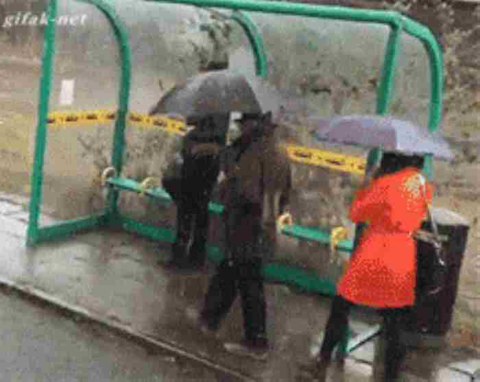 笑死人不偿命大全集（35张笑死人不偿命的图片）