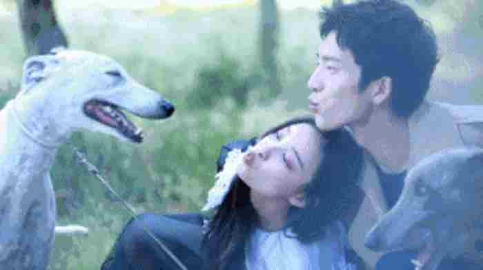 井柏然倪妮分手（倪妮井柏然竟然分手了）