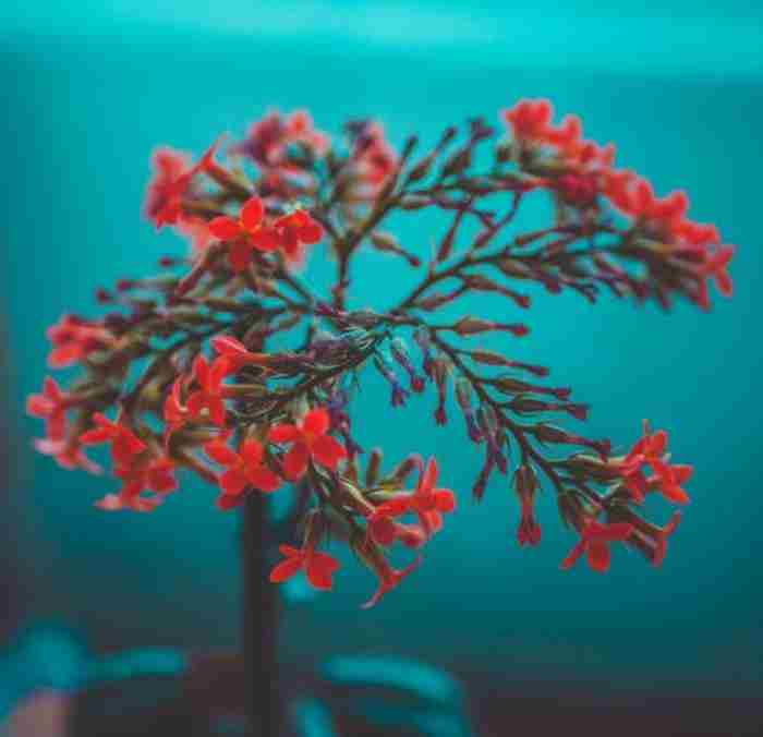 怎么才能彻底忘记前任，分手后忘掉前任最好的办法