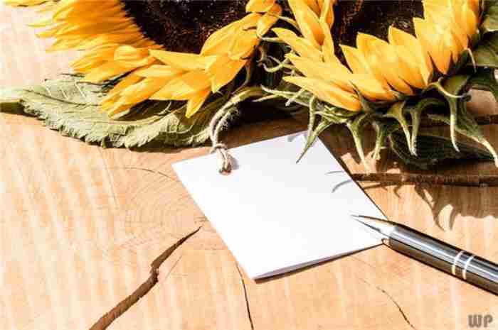 对情人说早上好甜蜜的话(朋友圈爱情甜蜜说说)