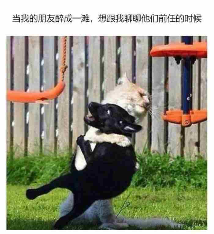死党和闺蜜的区别，这就是死党和普通朋友的区别
