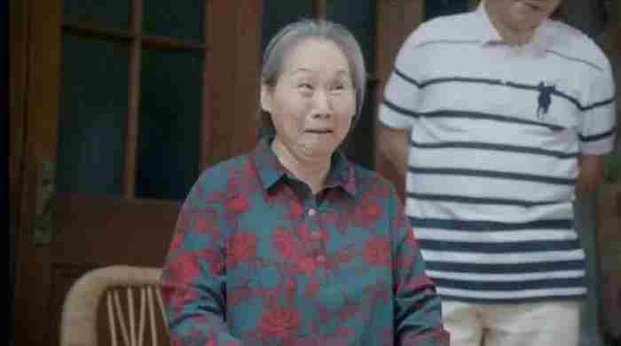 安家真实事件（老洋房背后真实故事更复杂）