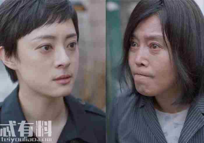 安家演员介绍（安家潘贵雨结局怎么样）
