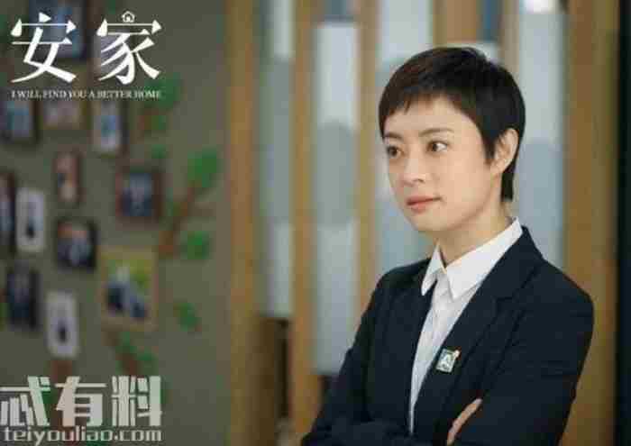 安家演员介绍（安家潘贵雨结局怎么样）