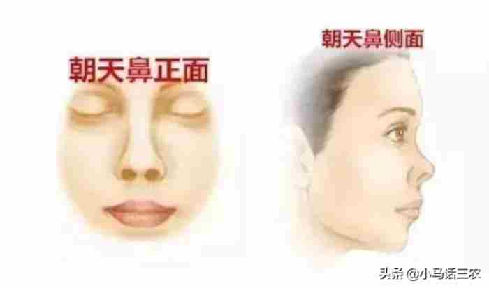 招风耳的男人，农村俗语男怕招风耳