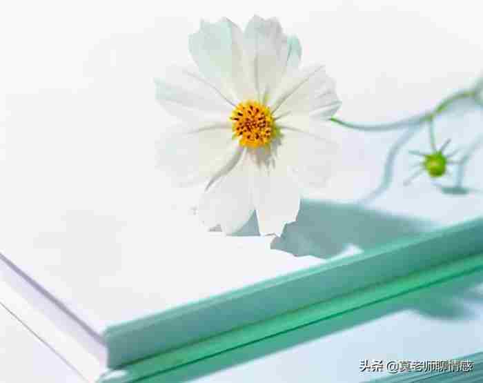 老婆有没有出轨看哪里（女人出轨的五个细节）