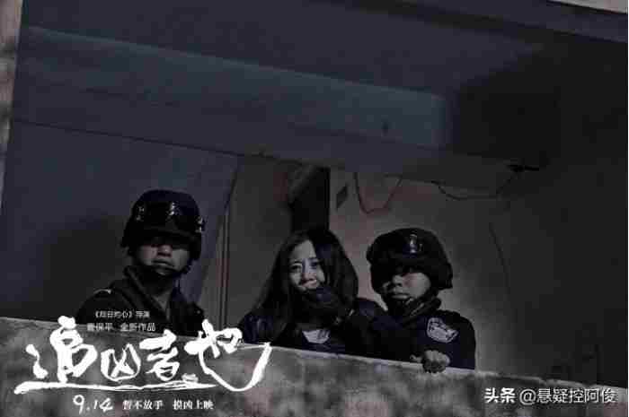 追凶者也豆瓣（豆瓣7.8的国产犯罪片）