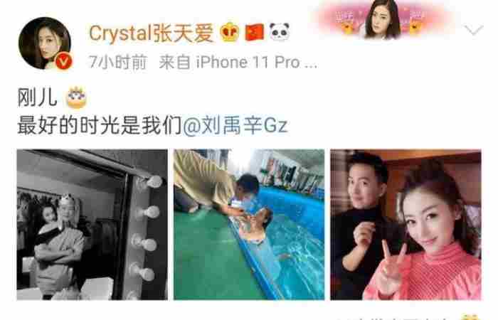 张天爱个人资料（传奇名媛张天爱的四段婚姻）
