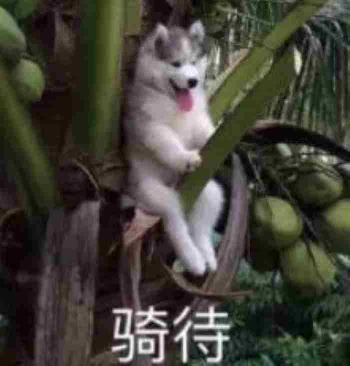 性生活的图片（当代男女的一次性生活曝光）