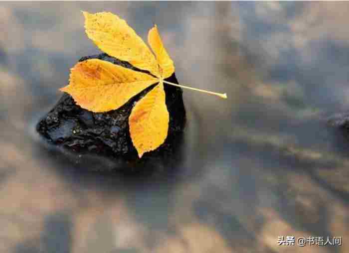 聊天怎么回复（都懂得这3个回复技巧）