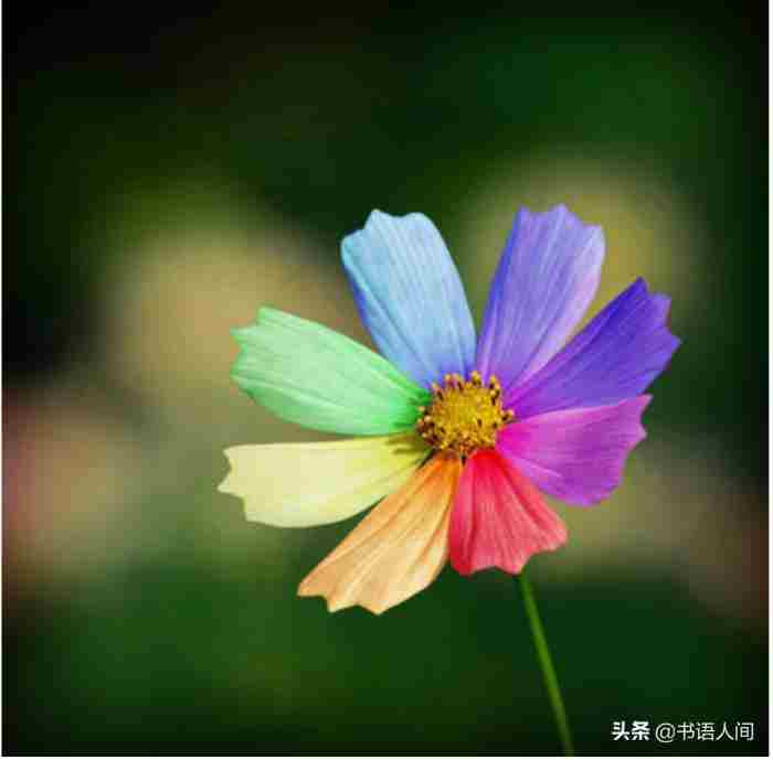 聊天怎么回复（都懂得这3个回复技巧）