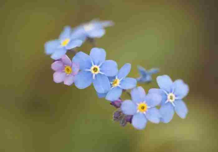 未婚妻和前男友开房 未婚夫和前女友联系要怎么处理