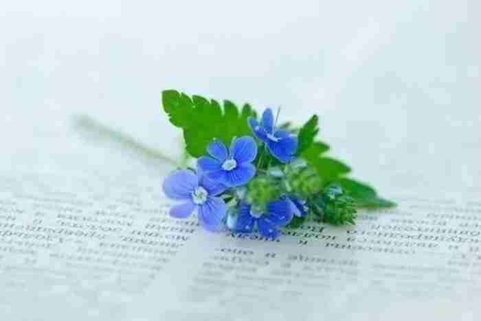 未婚妻和前男友开房 未婚夫和前女友联系要怎么处理