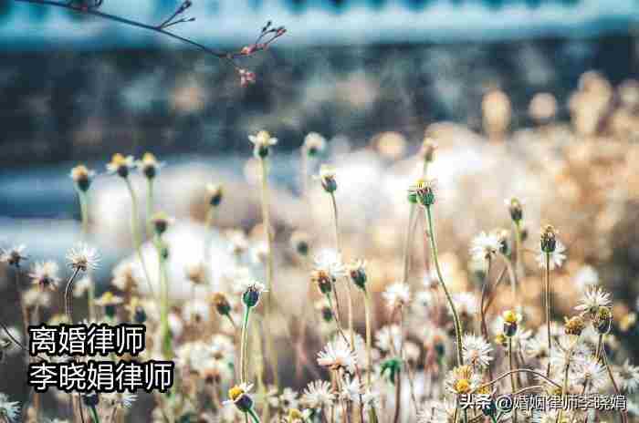 出轨了离婚财产怎么分 婚内出轨 离婚