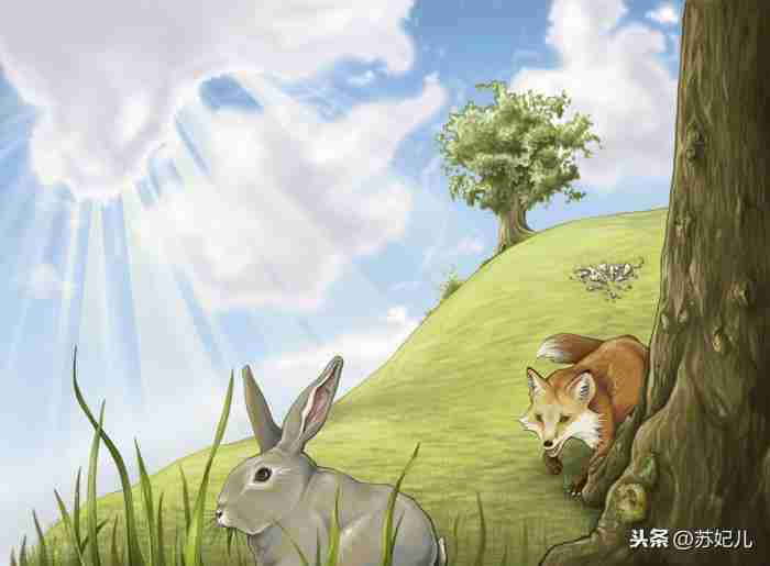 婚姻情感咨询:完美婚姻是怎样炼成的