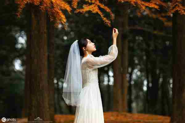 狮子座彻底死心的表现是什么