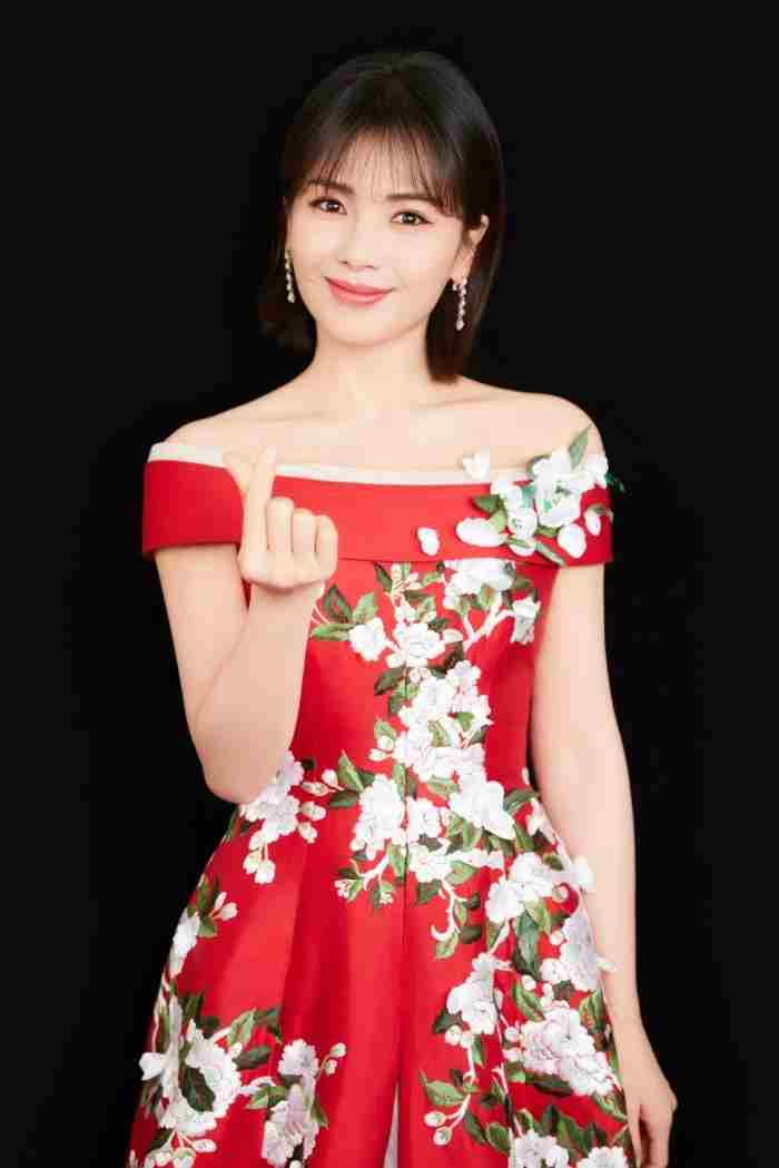 ​“中国好媳妇”刘涛的隐秘情史