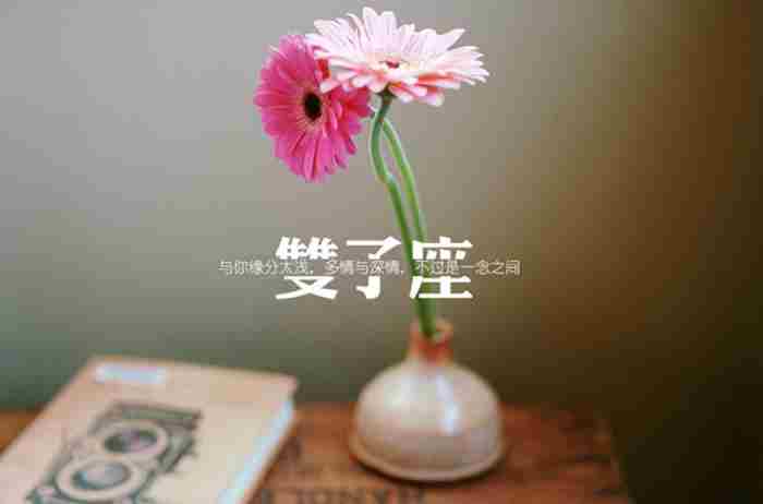和双子女分手了很突然很绝情 天蝎座说分手还能挽回吗