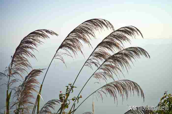 如何挽回一个全拉黑的人，这几个技巧教你快速挽回