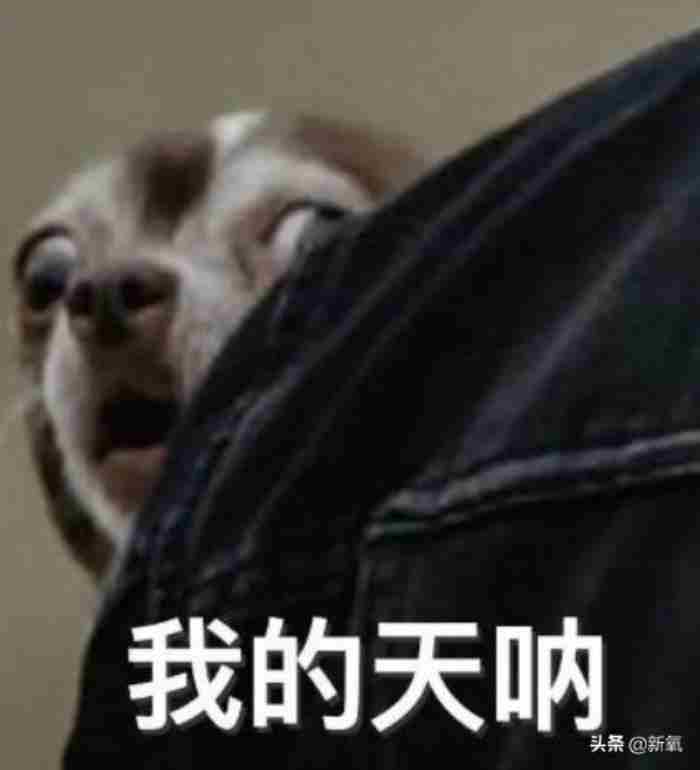 最渣女星拿郑恺当备胎 李响是谁