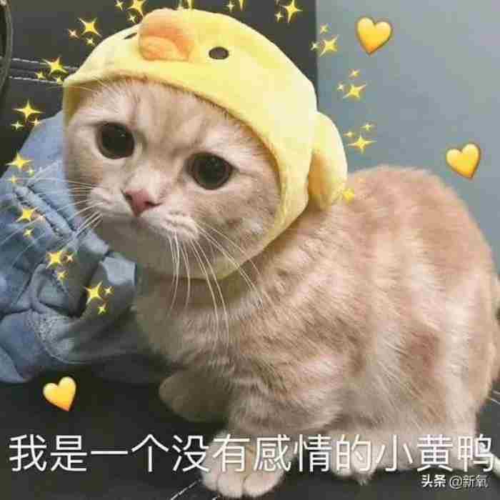 最渣女星拿郑恺当备胎 李响是谁