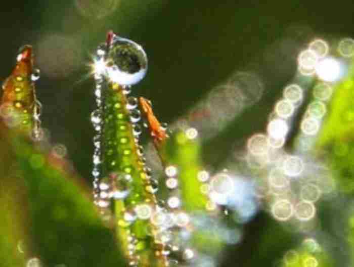 在这凉薄的世界里深情的活着这句话的意思